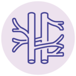 CCD Icon Venologie